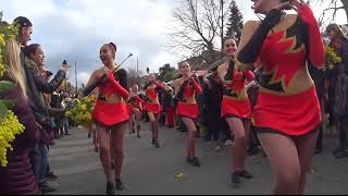 Tanneron  Corso de la fête du mimosa  2018 [upl. by Alexandrina]