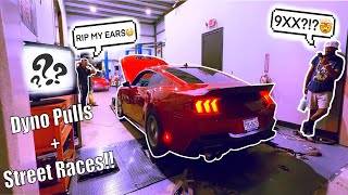 I Dyno’d My WHIPPLE 2024 Mustang GT And Took It STREET RACING [upl. by Okihsoy]