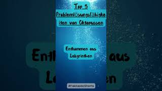 5 Fakten über Problemlösungsfähigkeiten von Oktopussen 🐠 shorts [upl. by Maisie948]