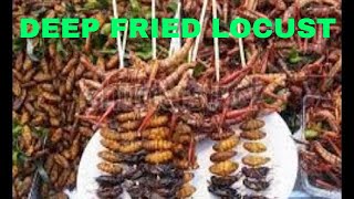 HOW TO PREPARE LOCUST FOR A MEAL  DEEP FRIED LOCUST [upl. by Eniar628]