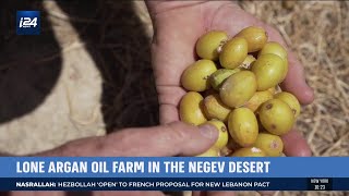 The Lone Argan Oil Farm in Israels Negev Desert [upl. by Atirehc]