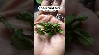 Get rid of unwanted facial hair  PCOSPCOD  ytshorts facialhairremovalforwomen pcos pcod [upl. by Grosberg869]