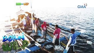 Born to be Wild Lawlaw fishing in Bulan Sorsogon [upl. by Alletnahs]