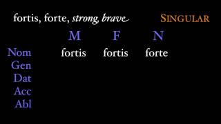 Third Declension Adjectives [upl. by Marquis970]