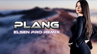 Elsen Pro amp Adrian Minune  Plang [upl. by Kaile]