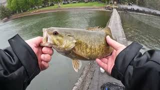 Bass fishing lake Billy chinook Finesse￼ [upl. by Ereveniug163]