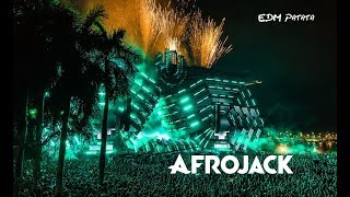 Afrojack Drops Only  Ultra Music Festival Miami 2016 [upl. by Fransisco]