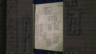 Nitrogen cycle explain with diagram [upl. by Anidnamra]