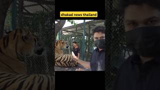 dhakad news thailand😃funny short short funny [upl. by Coco374]