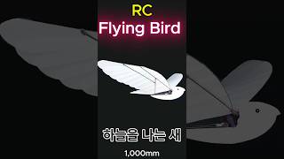 Home made RC Flying Bird  하늘을 나는 새  Ornithopter shorts Ornithopter FlappingWing RCbird [upl. by Cummings]