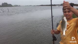 Muy buena pesca en arroyo de valizas Uruguay [upl. by Oznecniv]