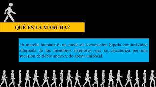 Biomecánica Marcha Humana Normal y Patológica [upl. by Kcarb]