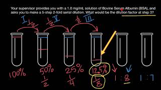 How Do You Calculate Dilution Factor [upl. by Trammel214]