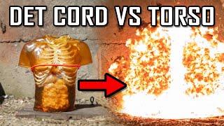 Det Cord vs Ballistic Torso in Ultra Slow Motion [upl. by Dasi327]