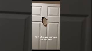 Door break Elmo memes yt shorts [upl. by Nikaniki42]