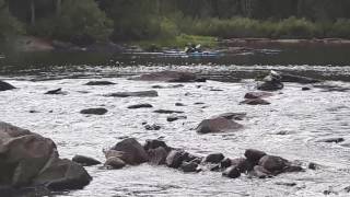 Running The Chute on the Bowron Lakes Circuit [upl. by Ahcim]