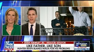 Hawley Sounds Off On Hunter Biden Indictments Without His Last Name He’d Be In Jail [upl. by Innavoij]