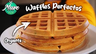 CÓMO HACER WAFFLES 🧇  ESTA ES LA MEZCLA PERFECTA  Muve Flavors [upl. by Spenser]