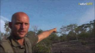 Safari Live  Stefan and the Greater Honeyguide Bird  Amazing  Nov 12 2016 [upl. by Ferguson]