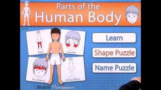 Mobile Montessori Parts of the Human Body [upl. by Siari]