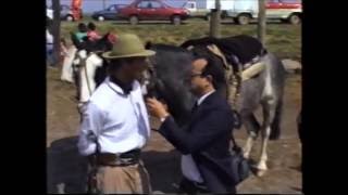 Nota a Gauchos argentinos a caballo hasta New York año 1993 [upl. by Aeresed]