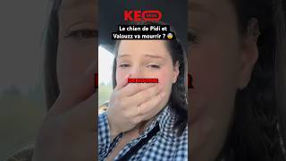 LE CHIEN DE PIDI ET VALOUZZ VA MOURRIR  😨 Les pauvres… shorts drama valouzz pidi tiktok [upl. by Pyne]