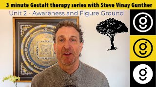 Awareness and Figure Ground in Gestalt therapy • 3 minute Gestalt series 2 [upl. by Rimidalv]