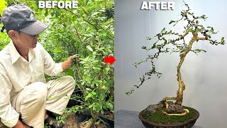 Uproot a longgrown bonsai tree from the garden and transform it into something more beautiful [upl. by Gasparo]