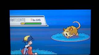 Where To Catch Snubbull No Cheats Pokemon Soul SIlverHeart Gold [upl. by Hedberg]