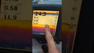 WALLEYE fishing tips and techniques Using your ELECTRONICS [upl. by Nnahs466]