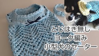 【犬服】100均コットンデニムで「とじはぎ無し」犬用ヨーク編みセーター編んでみました [upl. by Hannus]