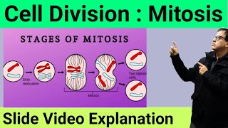 Cell Division Mitosis  Karyokinesis and Cytokinesis  Phases of Mitosis  Sir Tarun Rupani [upl. by Anahsal969]