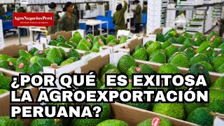 Estas son las razones del éxito de las agroexportaciones peruanas [upl. by Yasu]