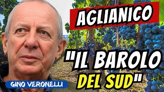 Perché l’AGLIANICO è considerato il Barolo del Sud [upl. by Nuarb496]