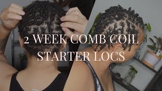 2 Week Starter Locs Update Short Comb Coil Wash amp Retwist [upl. by Josepha36]