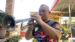 SA AKING PUSO  Ariel Rivera Trumpet cover [upl. by Nilknarf]