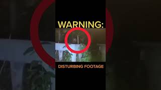 Man Captures Mysterious Creature On Camera  STRANGE Creatures [upl. by Naitirb289]