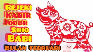 SHIO BABI 🐷🐷 bulan Februari ramalan Rejeki  keuangan  KARIR  amp Jodoh [upl. by Hoebart]