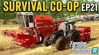 STARTING THE HARVEST 🌾amp FILLING THE BANK 💸 🚜  SURVIVAL CHALLENGE COOP  FS22  EPISODE 21 [upl. by Olonam]