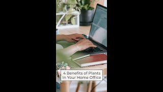 4 Benefits of Plants in Your Home Office  Health Benefits of Plants [upl. by Leonteen]