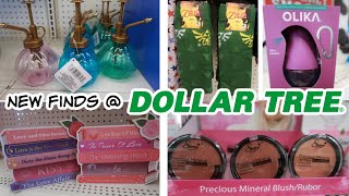 DOLLAR TREE FINDS BROWSE WITH ME [upl. by Terchie]