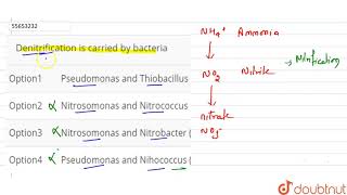 Denitrification is carried by bacteria [upl. by Dawes18]