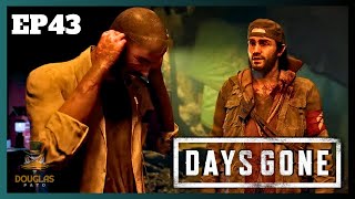 DIA 43 AMOSTRAS DE CICUTA  MP3 PARA O WEAVER  DAYS GONE  MODO NORMAL  PC  PTBR [upl. by Irrol484]