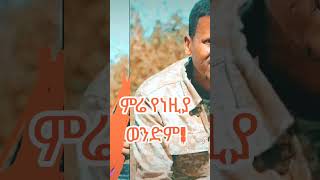 Hot Amharic Music [upl. by Wilinski]