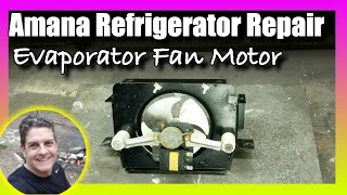 Refrigerator Repair Evaporator Fan Motor [upl. by Niwrek555]