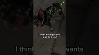 How to sneak a dog into a rave🦮💚 [upl. by Yuk]