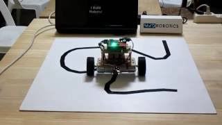 Selfbalancing Line Follower Robot [upl. by Acinoj255]