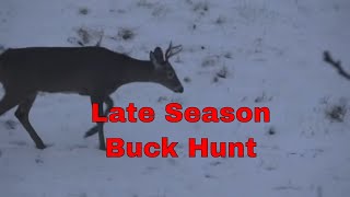 Late Season Buck Hunting [upl. by Khudari]