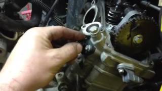 Canam timing chain tensioner adjustment [upl. by Linnell]