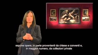 MACERATA MUSEI 720 LIS [upl. by Paine]